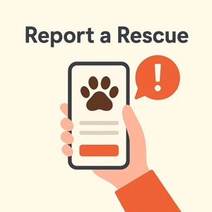 report a rescue 300x300